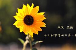 开云体育-跨界巅峰，当NBA双雄登上2026世界杯绿茵场