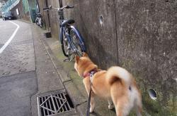 开云体育平台APP-跨界对决，伦纳德如何用教科书级表现，让掘金冲垮深圳队成为战术隐喻？