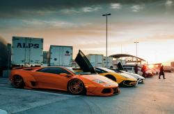 开云体育APP下载-黑郁金香于第93分钟绽放，戈麦斯与尼日利亚的史诗大逆转