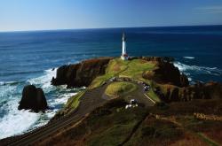 开云体育app-改写历史的一夜，楚阿梅尼如何用一脚惊世远射，将加纳送入传奇殿堂