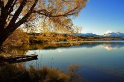 开云sport-巨星德里赫特定海神针，埃及铁血终结美国不败神话