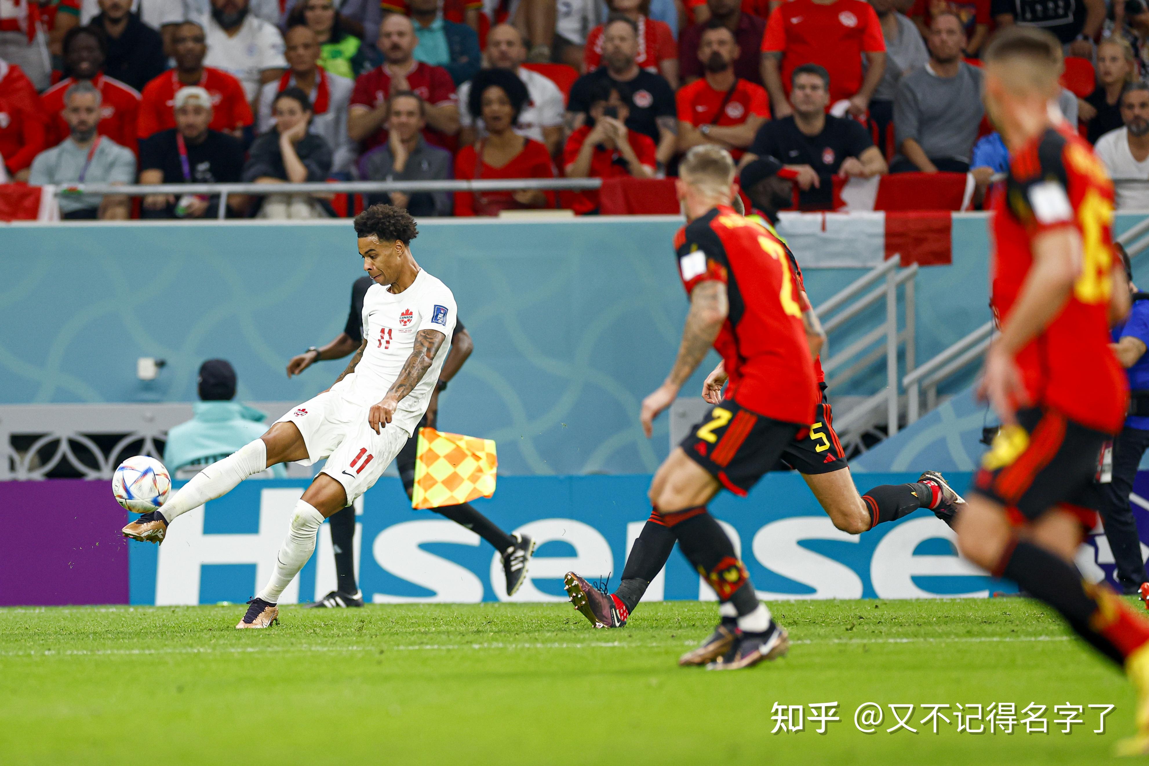 关于比利时乒乓球队血洗瑞典乒乓球队，许昕三分雨点燃全场的信息