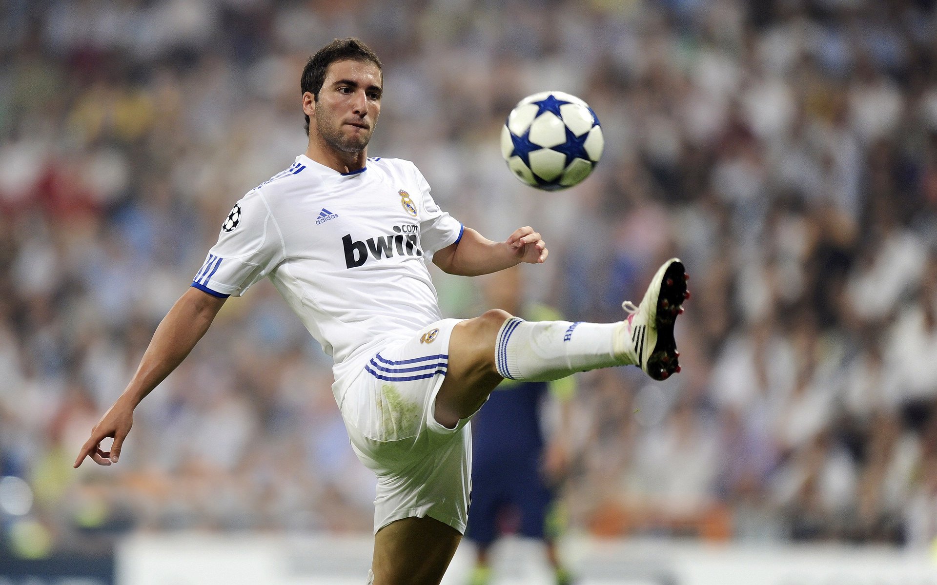 白鸟振翼，钢铁之躯的险胜与绿洲中的惊艳