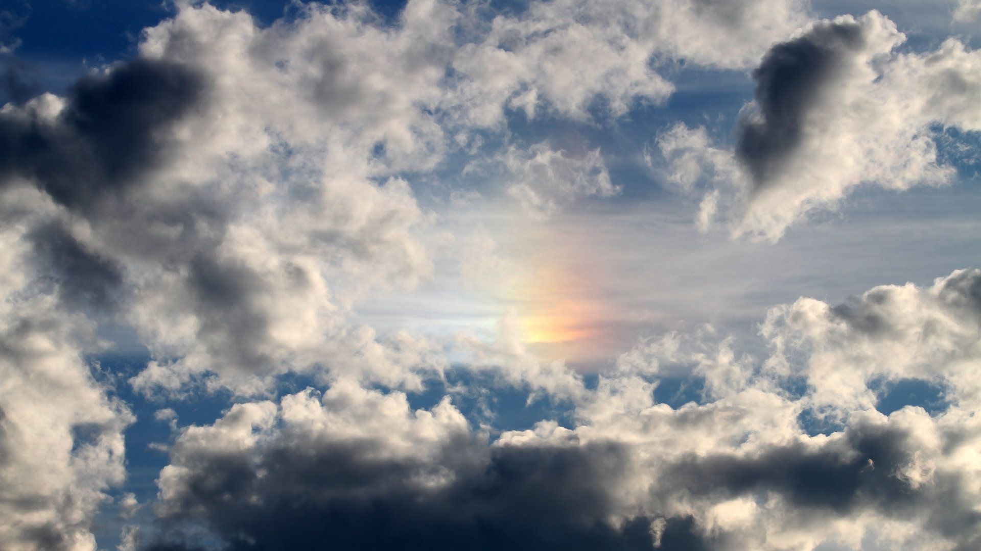 穿越次元的对决，当吉林队梦遇勇士，约基奇用一堂课定义篮球智慧