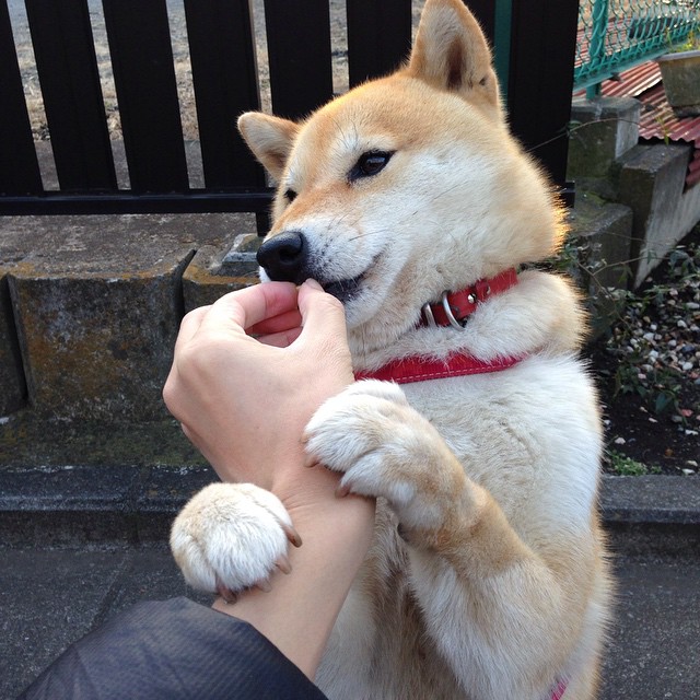 欧冠式叙事下的骑士晋级，当篮球场响起淘汰赛的哨音