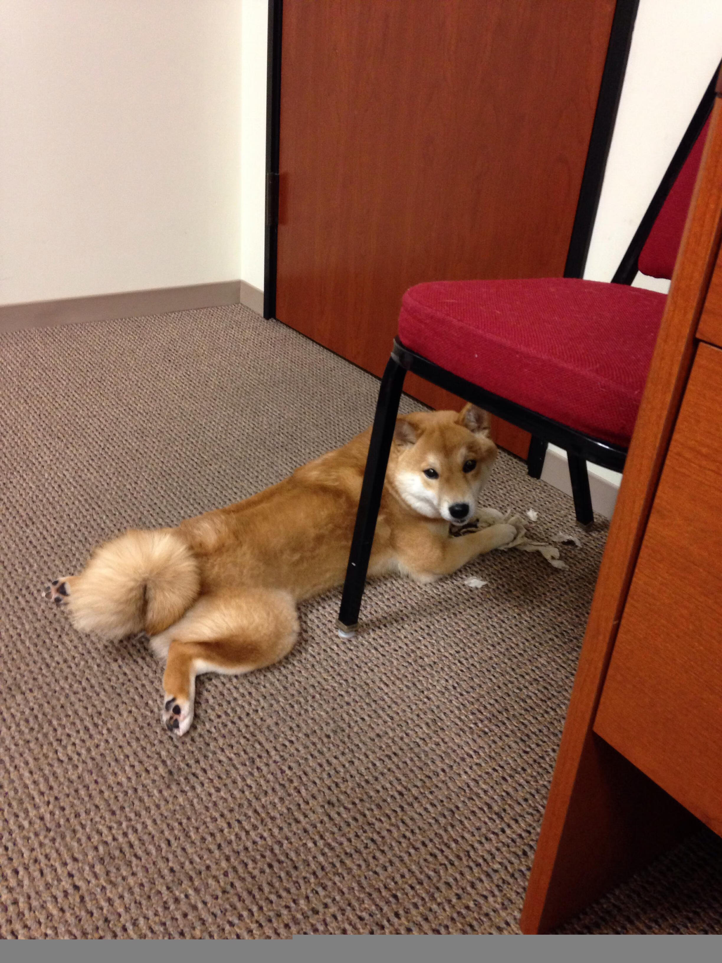 三狮军团的试金石，卡塞米罗的赎罪日，一场定义荣耀的90分钟