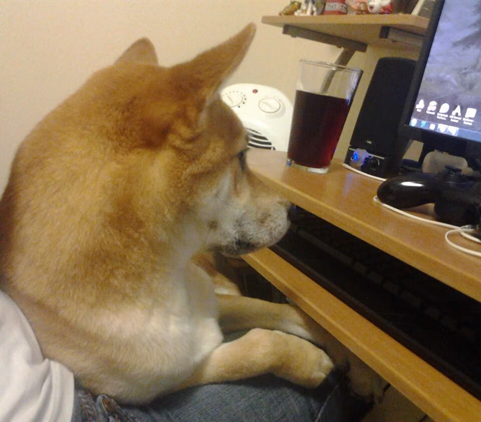 忠诚的丰碑与逆袭的惊雷，阿拉巴续写传奇，马赛点亮冷门之夜