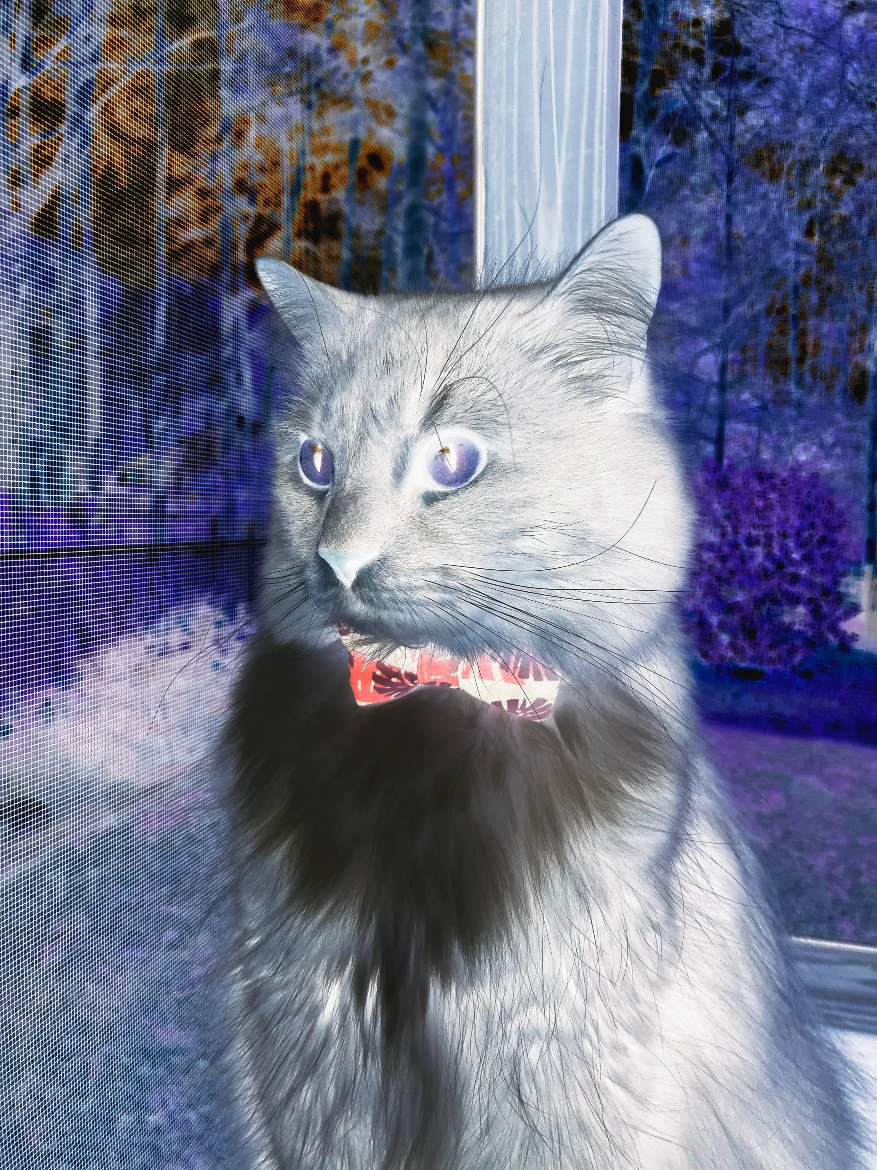 跨界较量!拜仁国家队险胜牙买加,无名英雄凯塞多导演逆转好戏