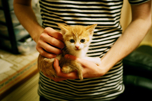 平行时空的争冠变奏，当德甲硝烟遇见北京王朝与爵士戛然