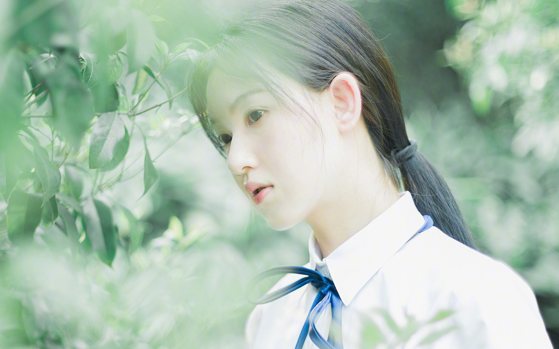 群狼撕碎星月,哈弗茨,那个在安卡拉之夜降临的金发刺客