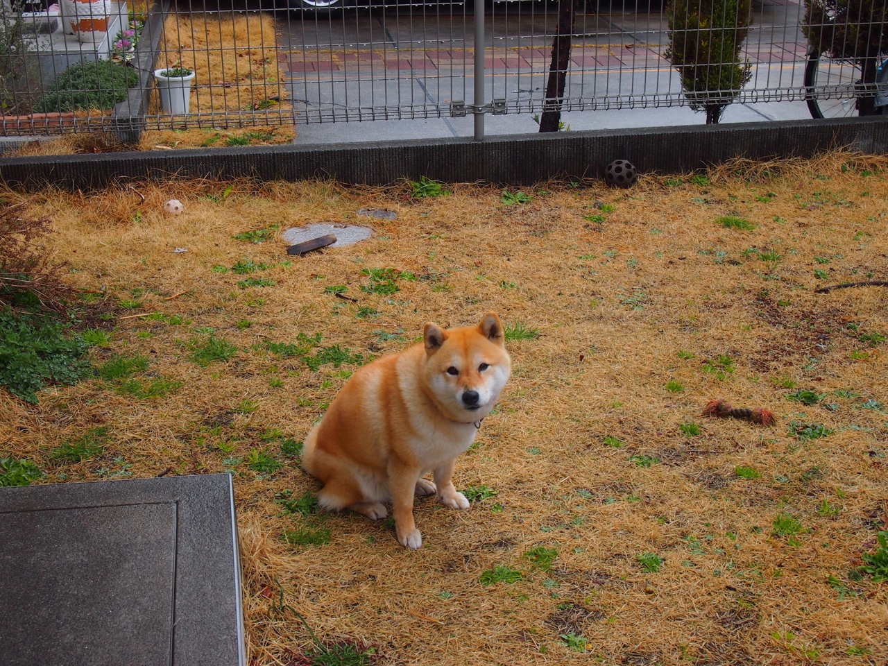 双重奏，乌克兰斩落冰系的坚韧，与苏亚雷斯燃尽岁月的火焰