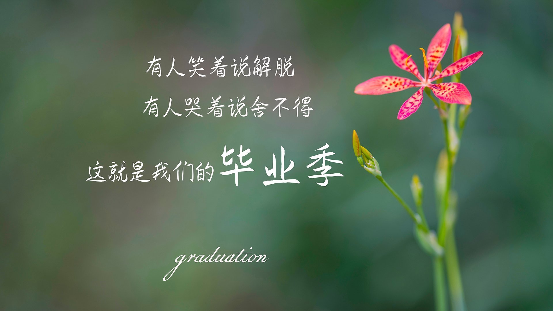 冰火交织，贝恩攻防两端的统治，勇士节奏对山西队的降维打击