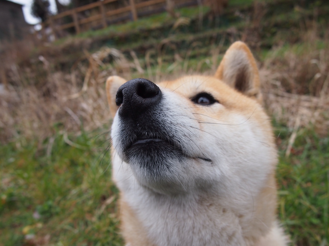 超越胜负的艺术，当帕尔默的指挥棒让欧冠决赛变成个人交响曲