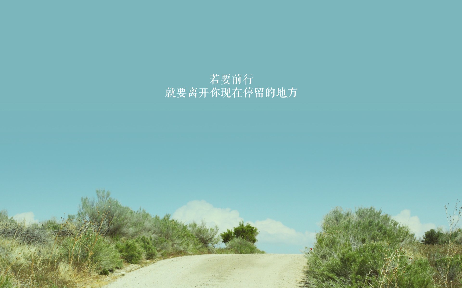 宿命的回响，2026世界杯，捷克与保加利亚的复仇之战，C罗的最后一舞