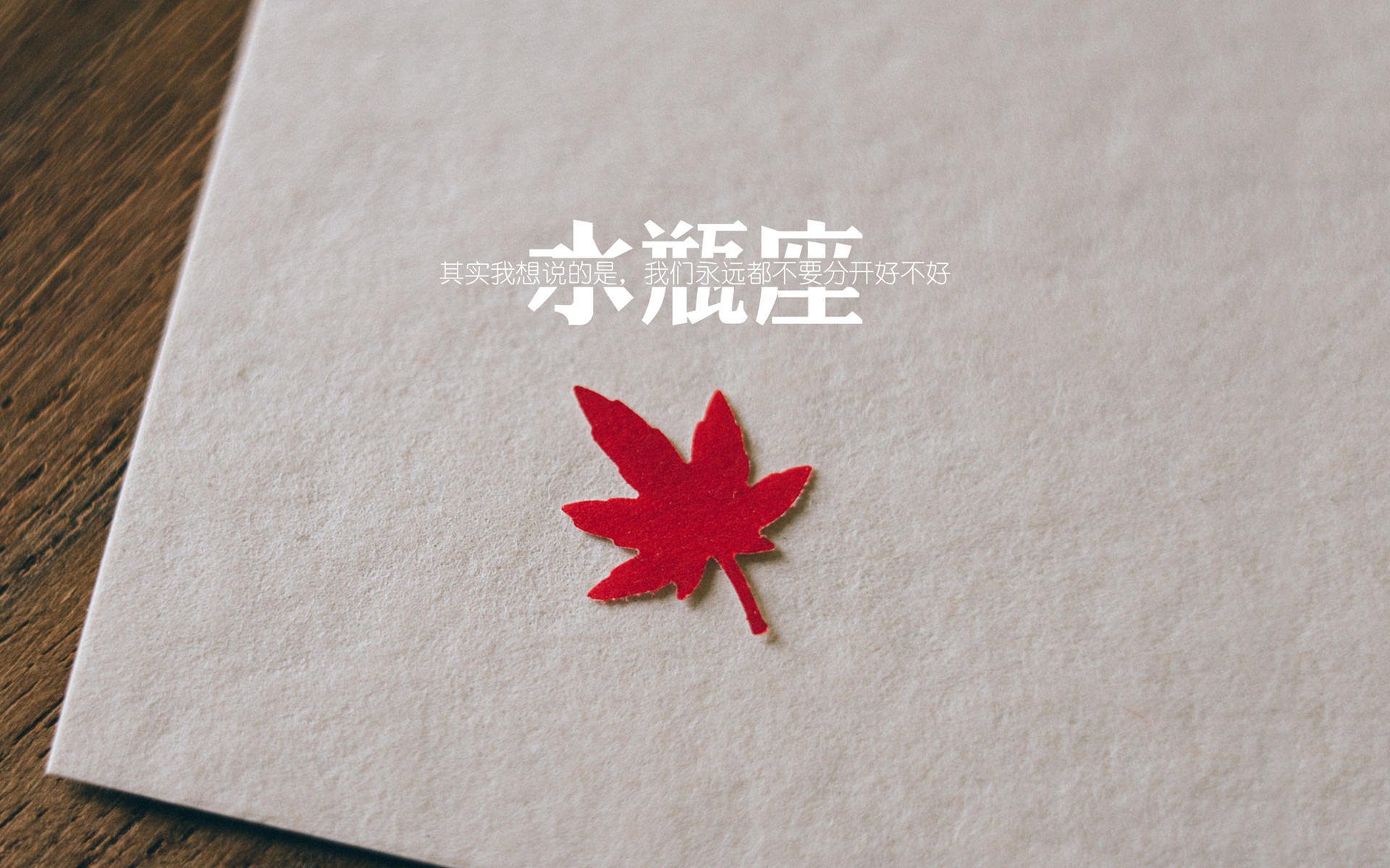 星耀非洲之巅,迪亚斯一剑封喉,喀麦隆在2026世界杯淘汰赛跨越尼日利亚宿命之战