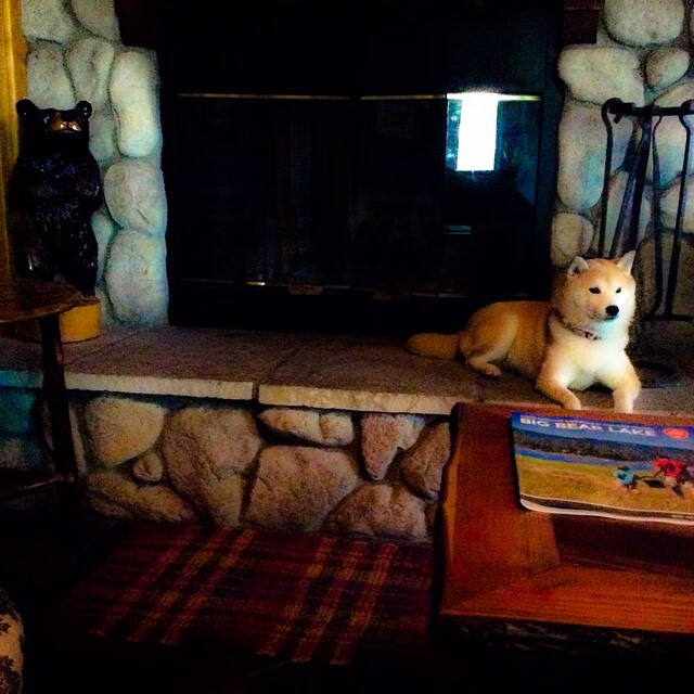 命运交响曲，当黑星坠落，C罗的黄昏与布罗佐维奇的盛夏